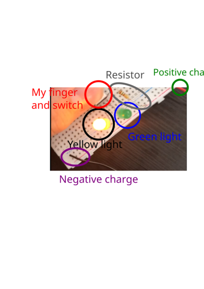 steve-newyellow.png steve-newyellow.png