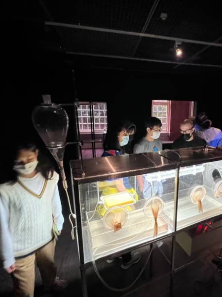 1671875130744.jpg 1671875130744.jpg