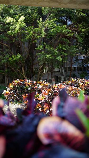 dsc04623.jpg dsc04623.jpg