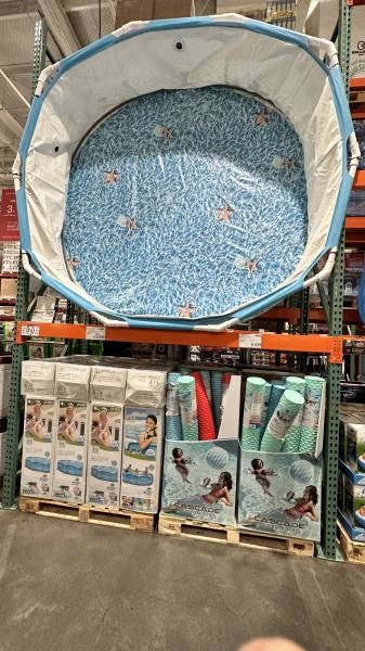 steve-costco3.jpeg steve-costco3.jpeg