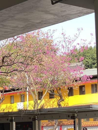 img_5508.jpg img_5508.jpg