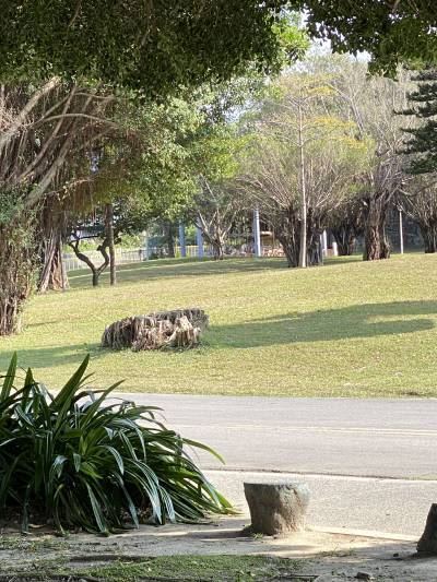 img_5575.jpg img_5575.jpg