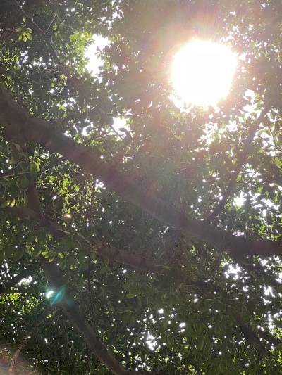 img_5582.jpg img_5582.jpg