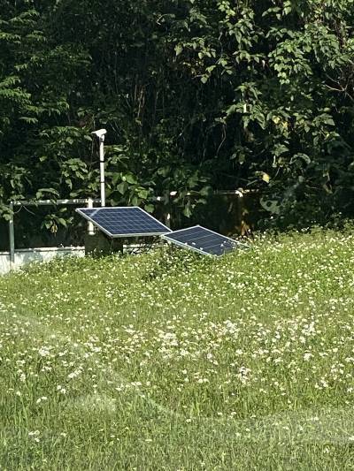 img_5533.jpg img_5533.jpg