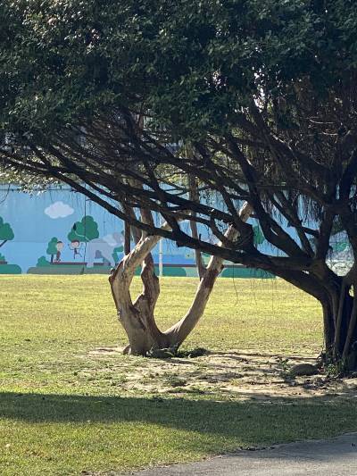 img_5565.jpg img_5565.jpg