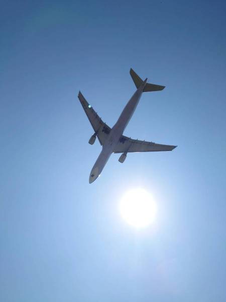 1685674047340-0.jpg 1685674047340-0.jpg