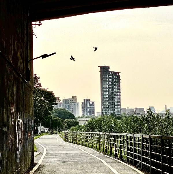 img_8760.jpg img_8760.jpg