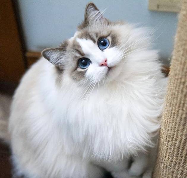 f88661e0248440d48a9f192742c2f0f3.jpg f88661e0248440d48a9f192742c2f0f3.jpg