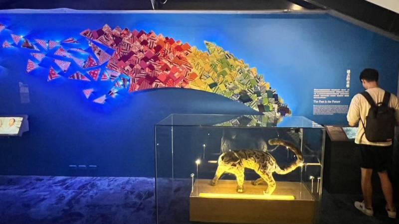 1685674957051-0.jpg 1685674957051-0.jpg