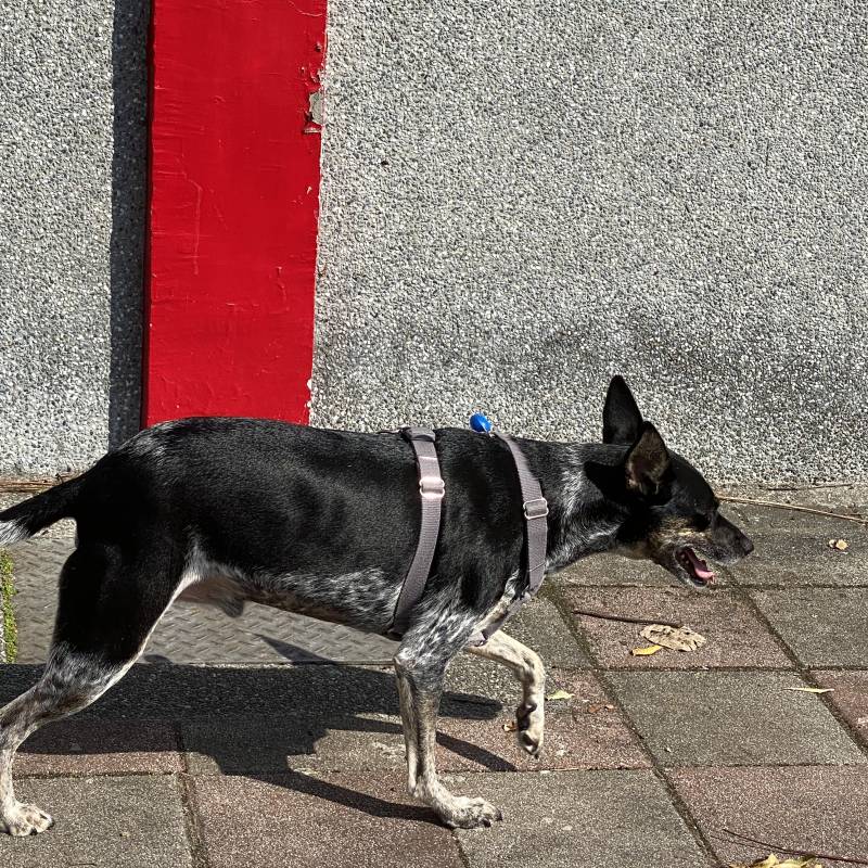 img_5520.jpg img_5520.jpg