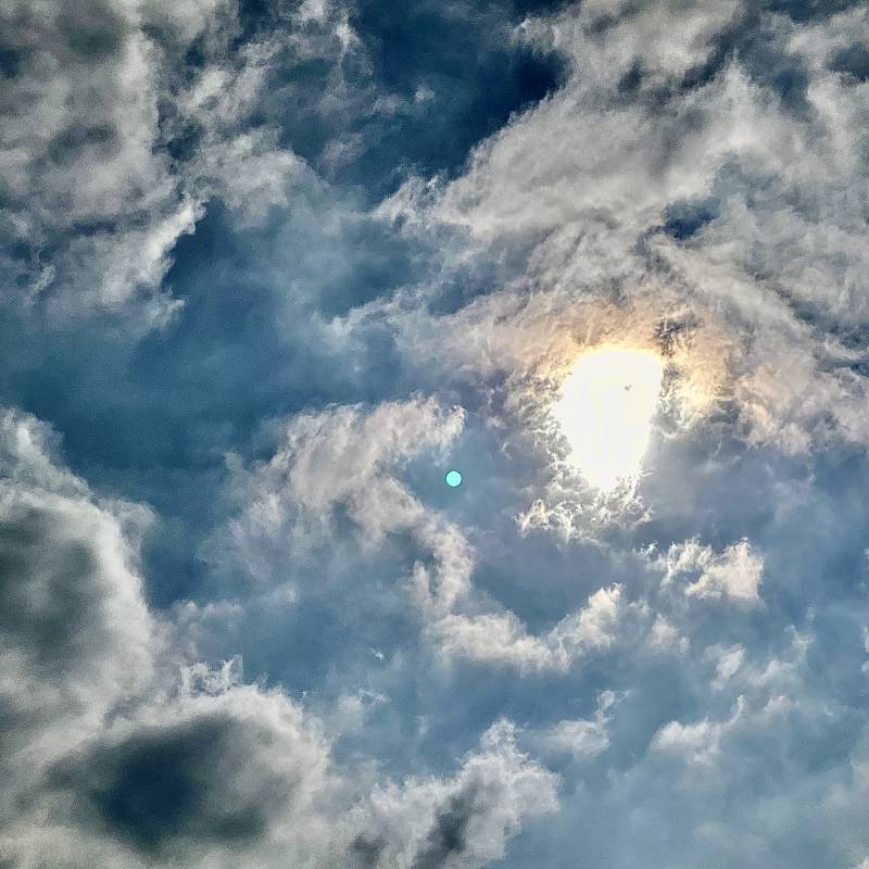 img_8728.jpg img_8728.jpg