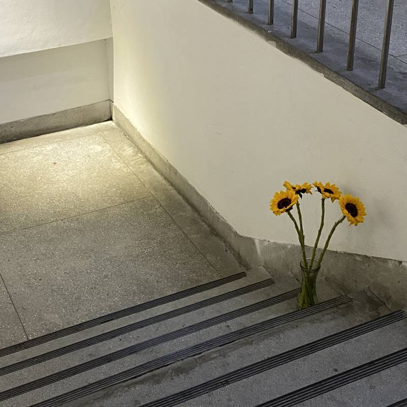 img_6493.jpg img_6493.jpg