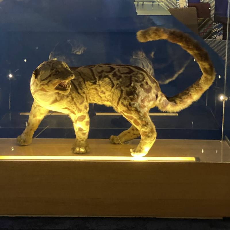 img_9778.jpg img_9778.jpg