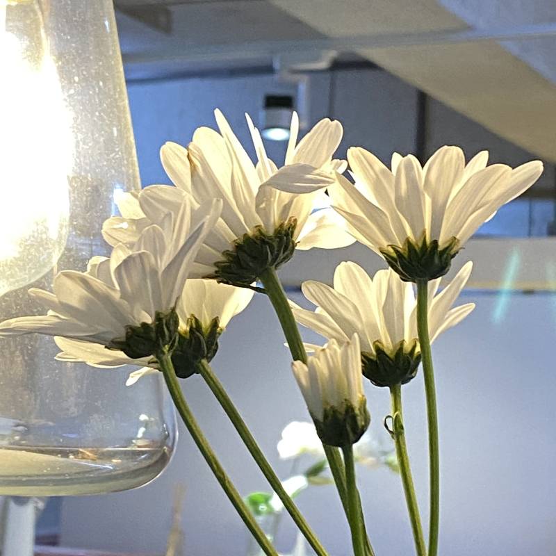 img_4120.jpg img_4120.jpg