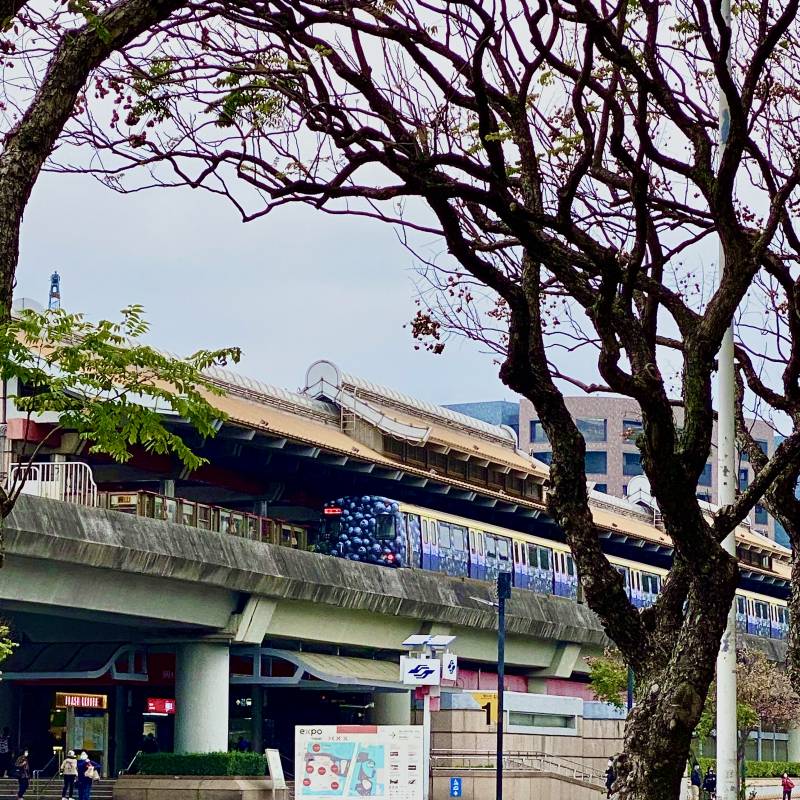 img_4540.jpg img_4540.jpg