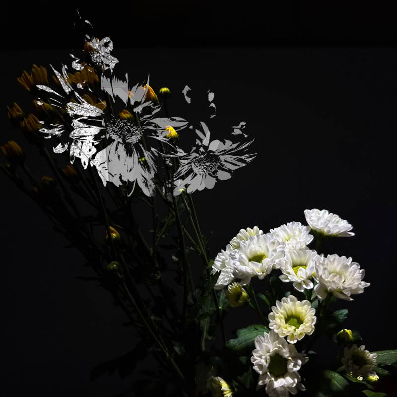 yiler-jimp-round-3-5.jpg yiler-jimp-round-3-5.jpg