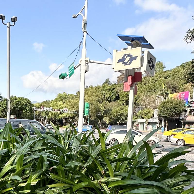 steve-mrt.jpg steve-mrt.jpg