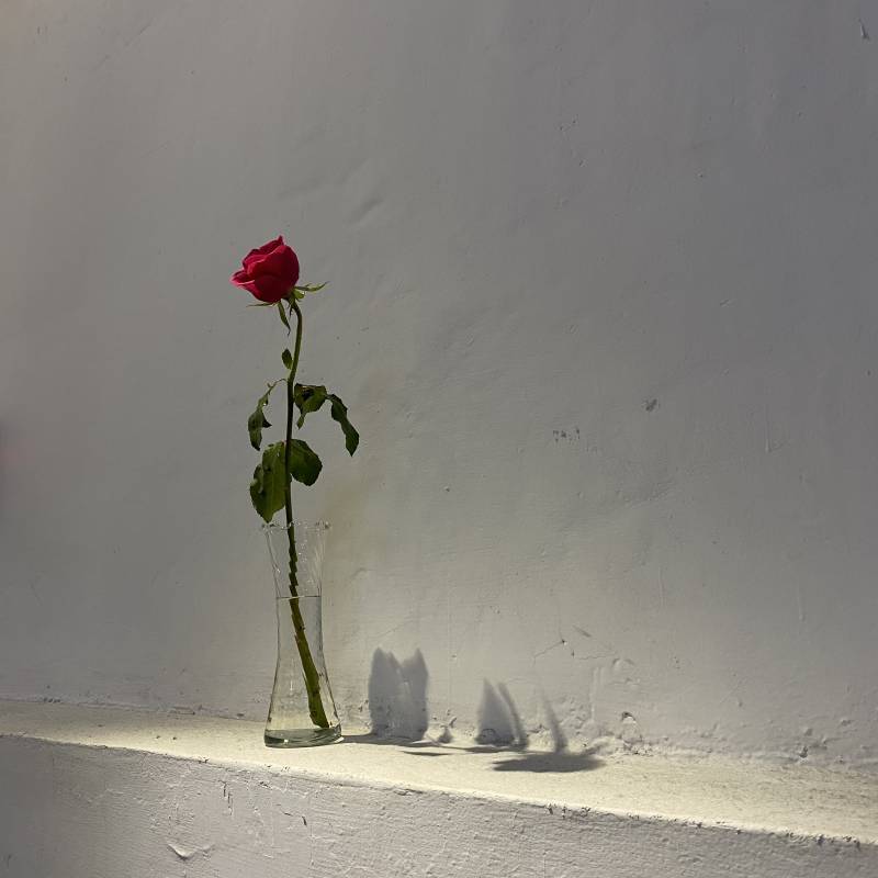 img_6536.jpg img_6536.jpg