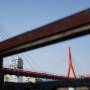 dsc04647.jpg
