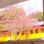 yuna-field-trip-photos-02.jpg