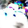 steve-complicated-more-duplicate-mangoes.jpg