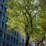 dsc04726.jpg