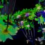 zoey-flower-test-added-05.jpg