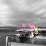 yiler-jimp-round-3-2.jpg