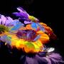 zoey-flower-test-added-11.jpg