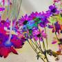 zoey-flower-test-added-07.jpg