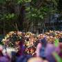 dsc04623.jpg