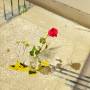 yuna-flowers-jimp-13.jpg