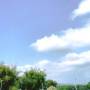 ingram-photography-photos_10_.jpg