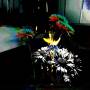 yiler-jimp-photo-6.jpeg