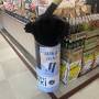 spatial_design_in_donki-5.jpg
