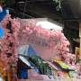 spatial_design_in_donki-3.jpg