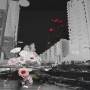 yiler-revised-photo-porfolio-2.jpg