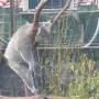 zoo1.jpg