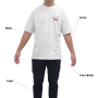 young-lines.png