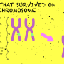 yiler-science-infographic-7.png