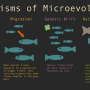 yiler-mechanisms-of-microevolution.png