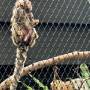 zoo4.jpg