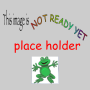 yiler-website-placeholder.png