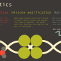 yiler-science-infographic-4-b.png