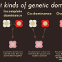 yiler-science-infographic-2.png