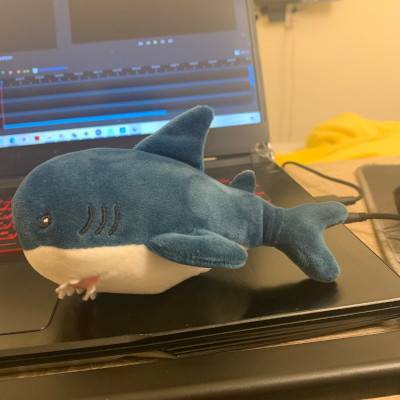 img_1364.jpg img_1364.jpg