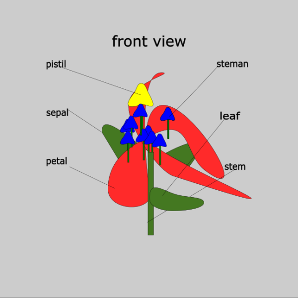 yiler-huang-ffi-sq.png yiler-huang-ffi-sq.png