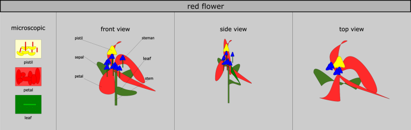 yiler-huang-fantasticflower-infographic.png yiler-huang-fantasticflower-infographic.png