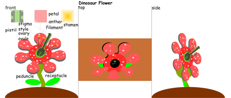 anna-fantasticflower.png anna-fantasticflower.png