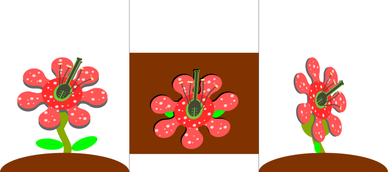 anna-fantasticflower-infographic.png anna-fantasticflower-infographic.png